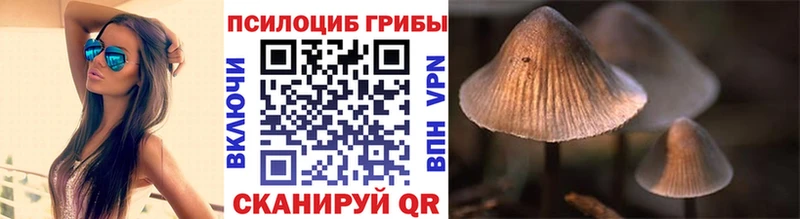 Галлюциногенные грибы прущие грибы  Купить  Ревда 