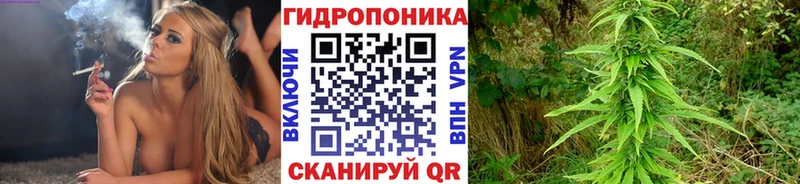 Каннабис ГИДРОПОН  Купить  Ревда 